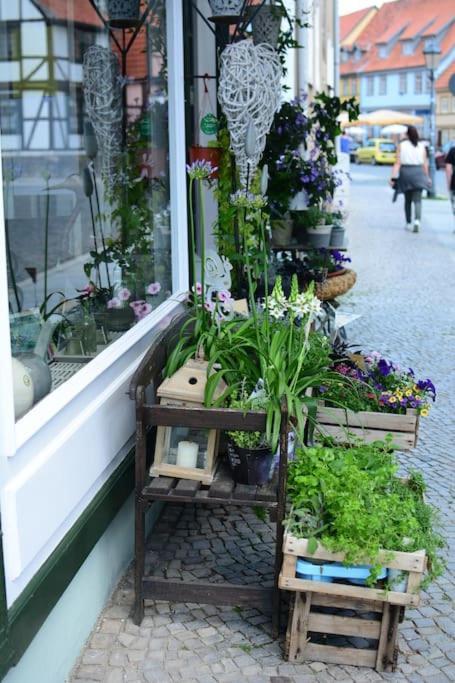 Schoene Ferienwohnung Mit Zwei Schlafzimmern Quedlinburg Zewnętrze zdjęcie